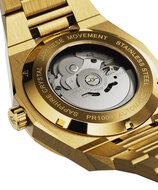 Paul Rich Iced Star Dust II Gold Limited Edition Automatic Horlogewatch