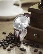 Bromwick Crown Silver Brown Leather Watch Horlogewatch.nl